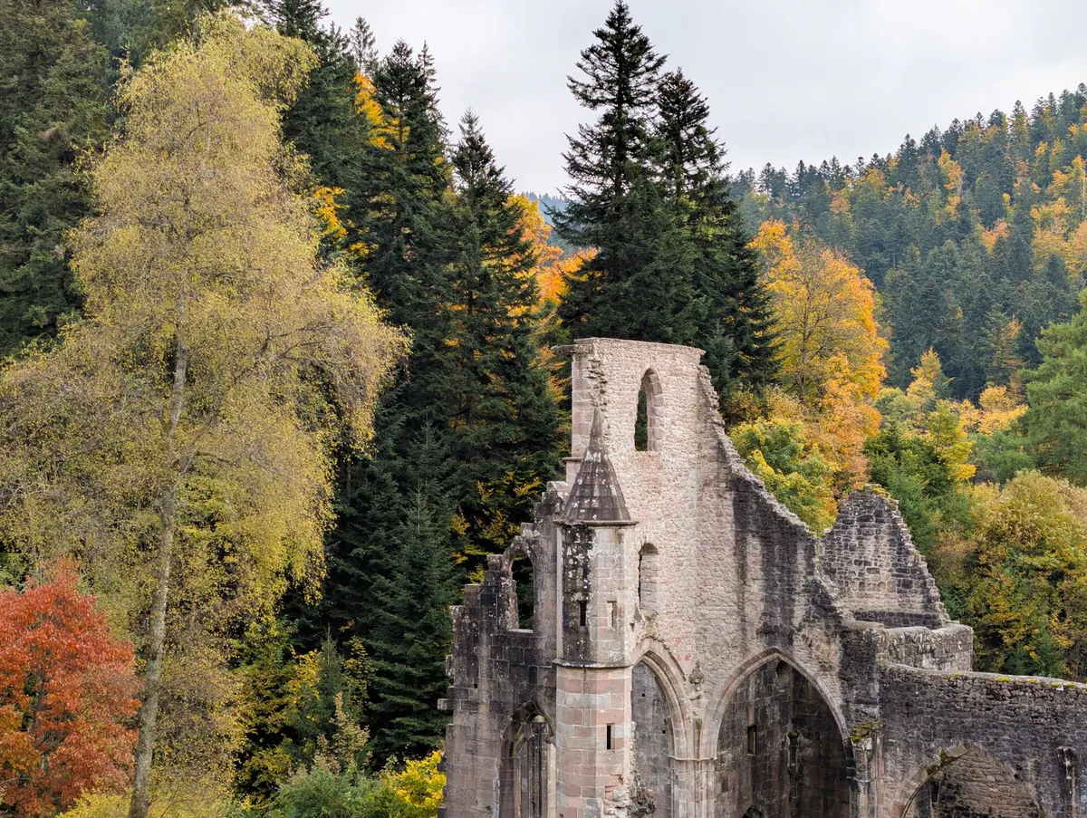 Should Ruined Abbeys Be Reroofed? Arguments For and Against